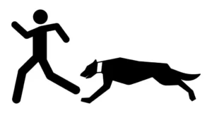 How to Deal with Dog Behavior Problems