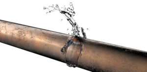 Best Sewer Line Repair Services in Florida
