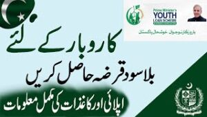 CM Punjab Asaan Karobar Card
