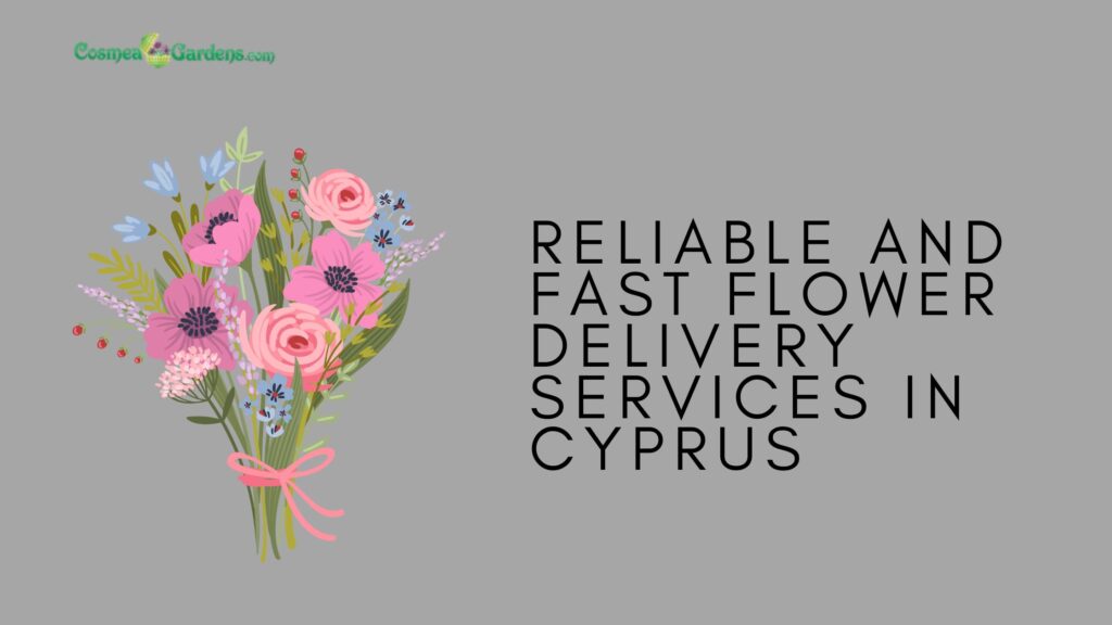 flower shops in cyprus