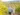 Paso Robles Events