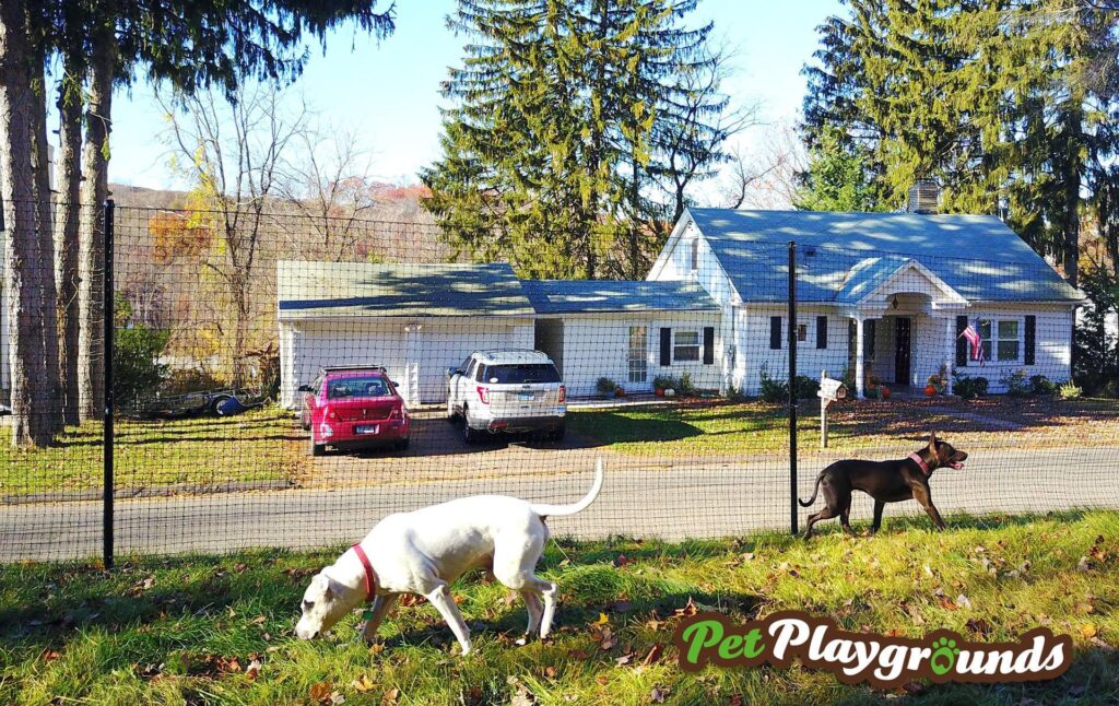 diy dog fence kits