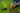 Grass Cutter