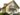 Buy Property in Lahore