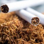 Backwoods: The Legendary Rustic Cigar Loved by Smokers Worldwide – A Tobacco Stock Special Guide