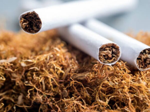 Backwoods: The Legendary Rustic Cigar Loved by Smokers Worldwide – A Tobacco Stock Special Guide