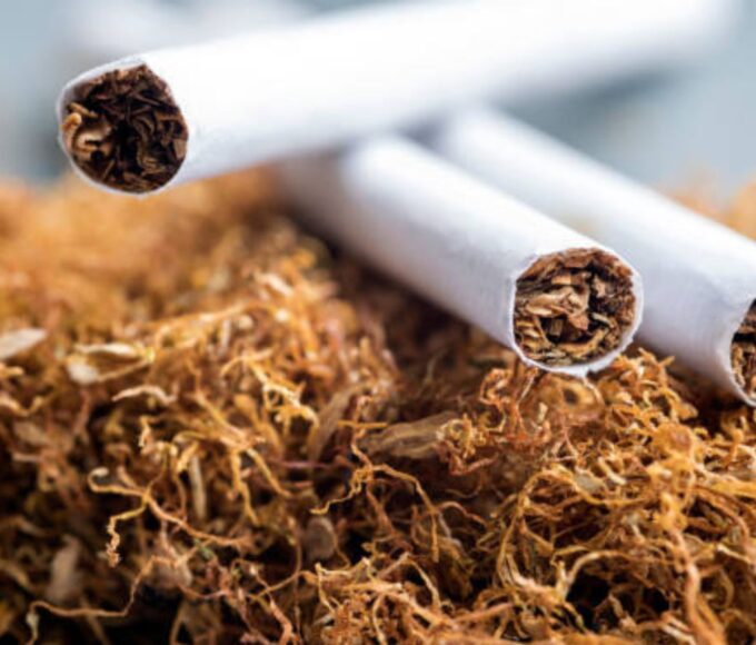 Backwoods: The Legendary Rustic Cigar Loved by Smokers Worldwide – A Tobacco Stock Special Guide