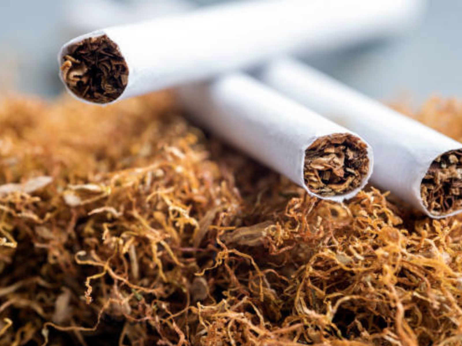 Backwoods: The Legendary Rustic Cigar Loved by Smokers Worldwide – A Tobacco Stock Special Guide