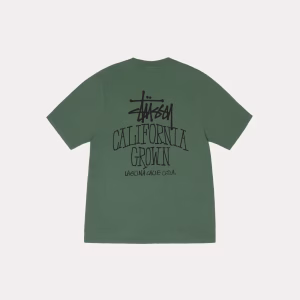 1905162 PINE 1 5794dff7 7d2c 4fd4 9fcc 2acd1dd26084 600x750 1 300x300 1