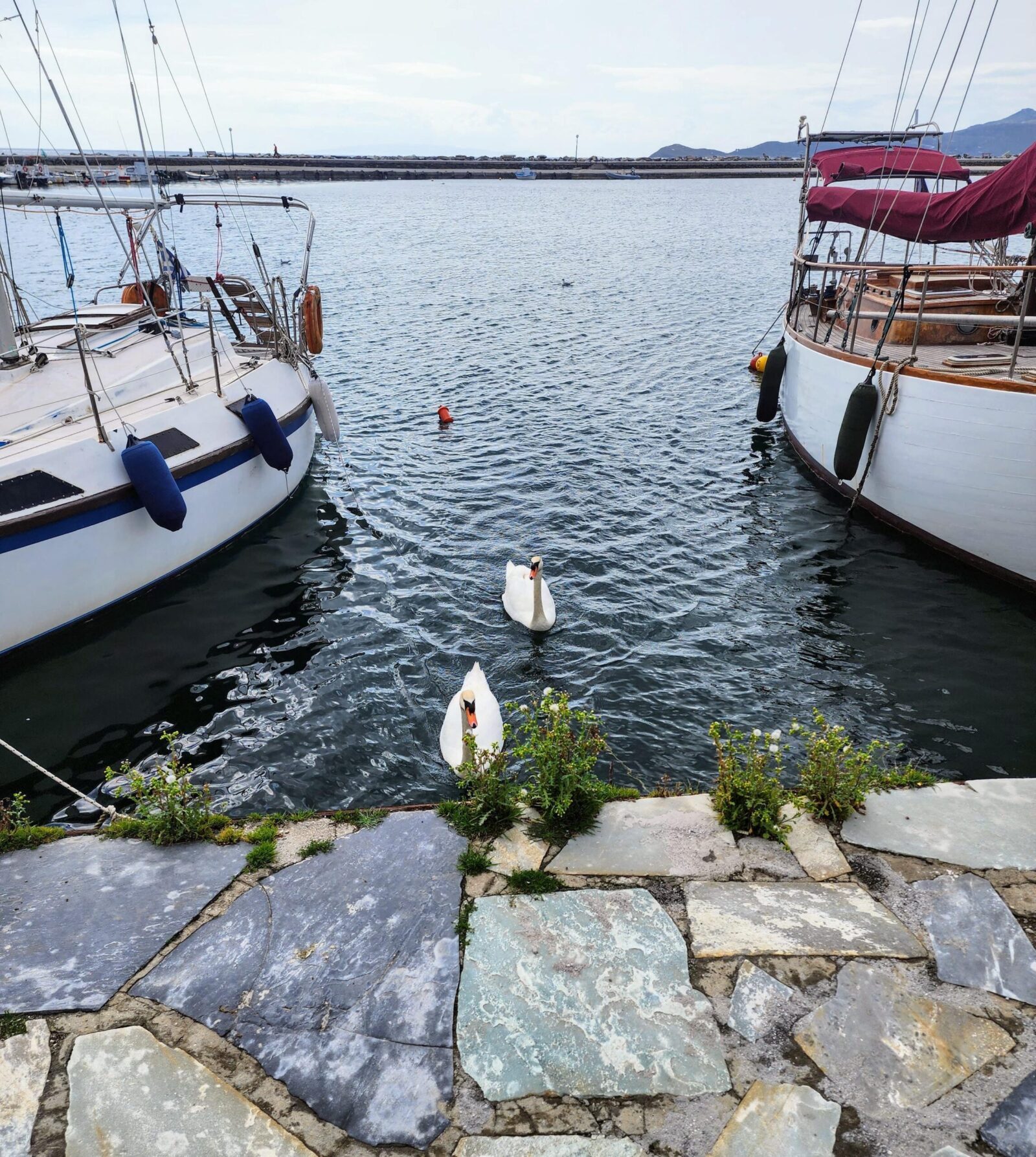 buying property in Greece