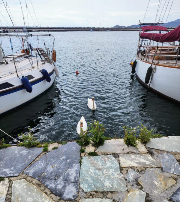 buying property in Greece