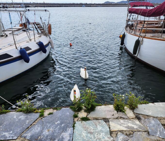 buying property in Greece